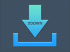 Xdown v2.0.9.4 (支持油管下载) 免费无广告多线程下载工具