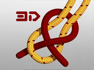 Knots 3D(教你打3D绳结)v9.3.0解锁高级版