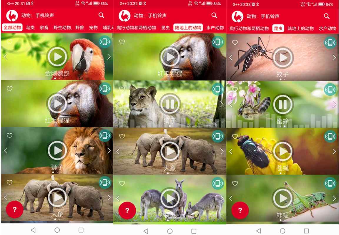 安卓动物手机铃声v18.1去广告高级版/享受大自然的声音 第1张